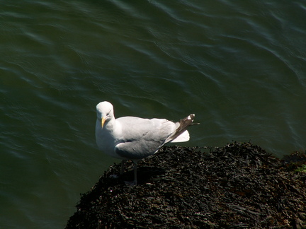 20060617 163334